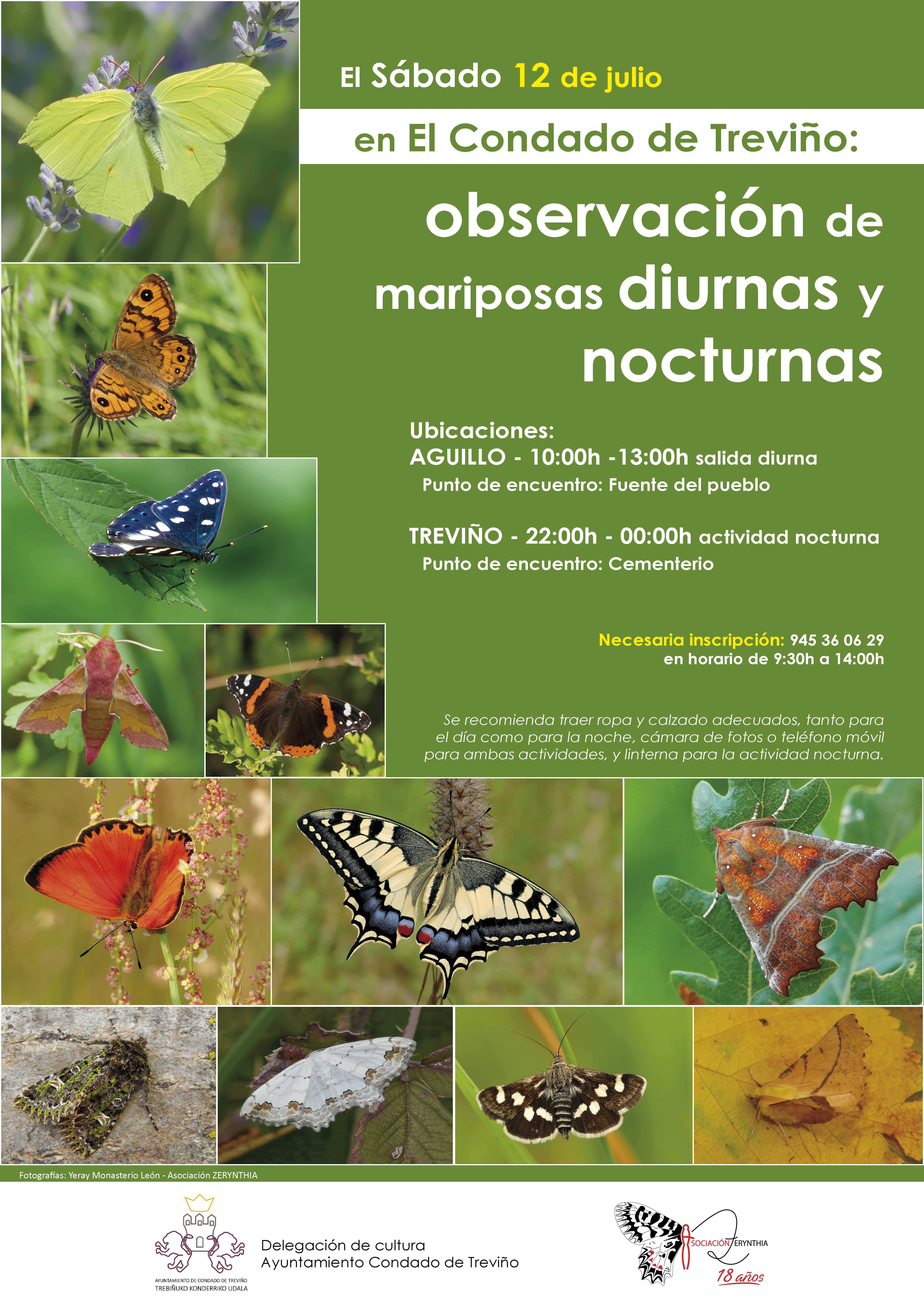 Observación de mariposas diurnas y nocturnas en el Condado de Treviño/Eguneko eta gaueko tximeleten behaketa Trebiñuko Konderrian