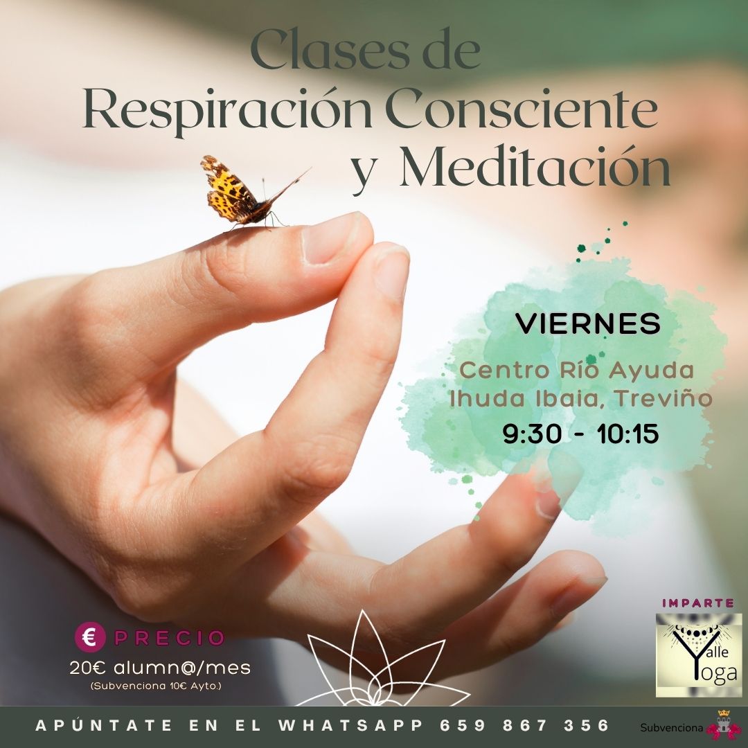 Clases de Respiración Consciente y Meditación / Arnasketa kontziente eta meditazio klaseak